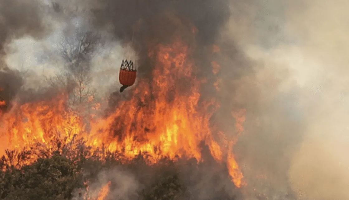 Wildfire Policy Reset: National Wildfire Alliance Calls for Change